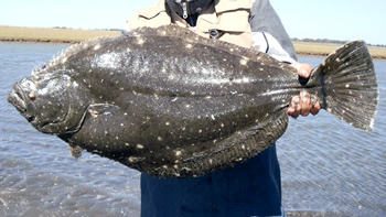 Pesca de Lenguado en Argentina