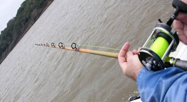 Entre Ríos: varios factores hicieron que la pesca deportiva sea una de las actividades más elegidas por los visitantes