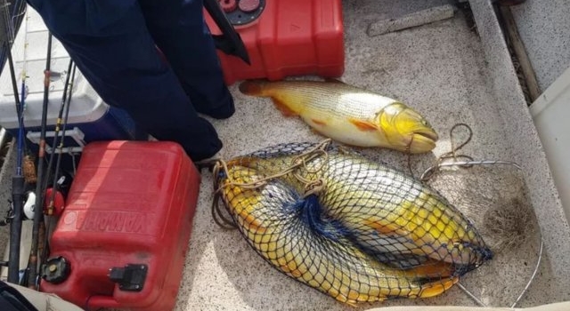 Corrientes. el Gobierno aplicó una sanción ejemplificadora a pescadores para preservar la fauna íctica