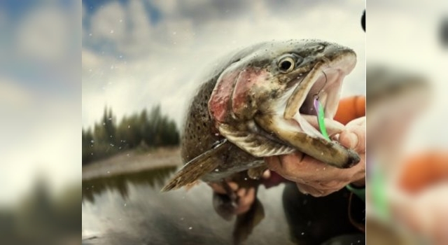 PATAGONIA: LA PESCA CON MOSCA