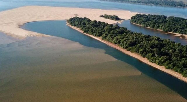 Pescadores deportivos denuncian “descontrol” en el río Paraná