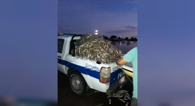 La policía de Rivadavia descubrió a pescadores furtivos en plena actividad y tuvo que quemar una tonelada de pejerrey