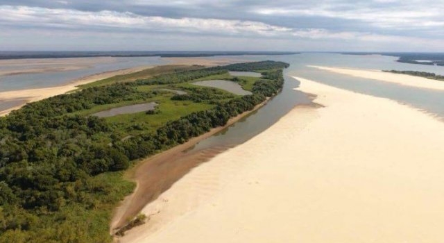 Cómo es el comportamiento de los peces con la bajante del río