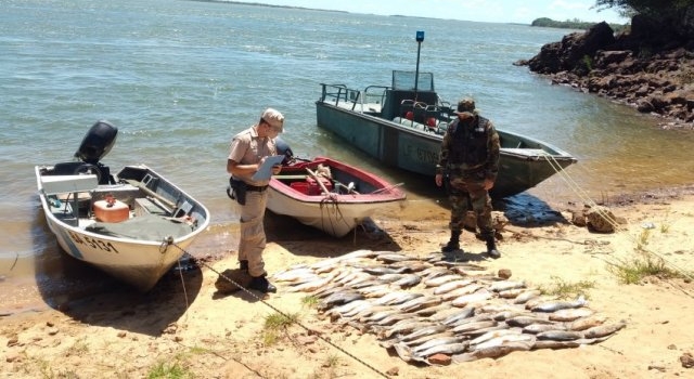 Pesca ilegal en el río Paraná: secuestran casi 100 bogas, cañas y un mallón