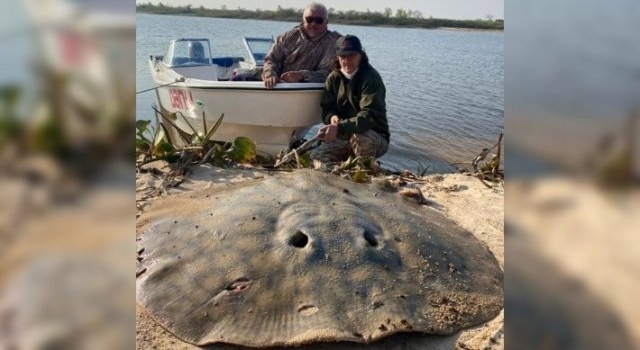 Corrientes: pescaron una monstruosa raya de más de 100 kilos en el Paraná