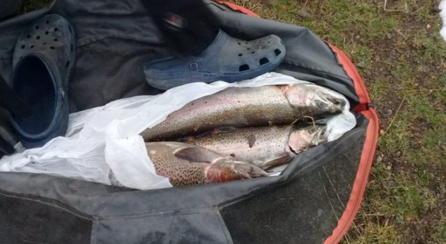 Pesca furtiva: decomisaron cañas y truchas en controles en Lago Rosario
