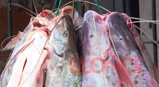 Prohíben la exportación de pescados de río por la bajante del Paraná