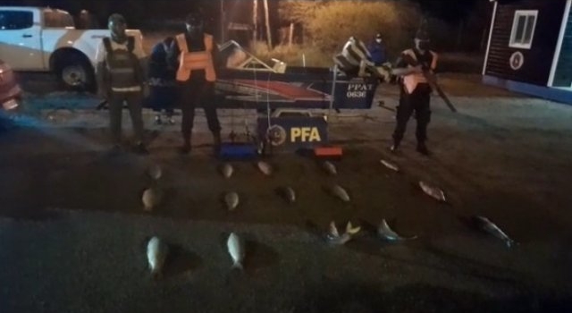 Incautaron 15 bogas e infraccionaron a pescadores