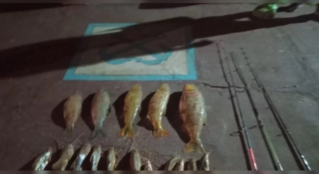 Prefectura interceptó una embarcación sin papeles y secuestró más de $83 mil en pescado