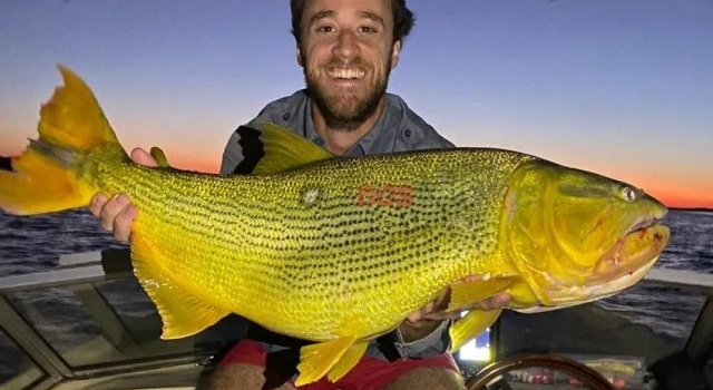 Advierten que el río Paraná no tiene buena reproducción de peces hace ya tres temporadas