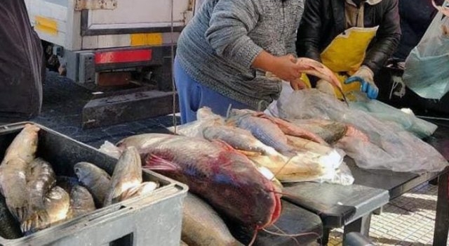 Por la bajante histórica del río Paraná, Corrientes prohibió el transporte de pescados fuera de la provincia