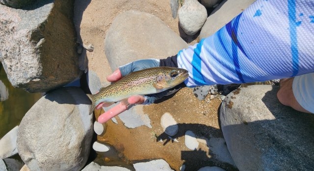 Pesca de truchas en Sierras de Córdoba