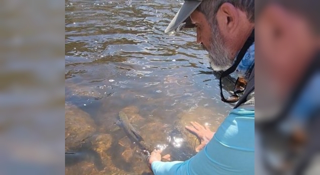 Pesca de truchas en Sierras de Córdoba
