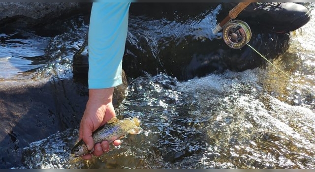 Pesca de truchas en Sierras de Córdoba