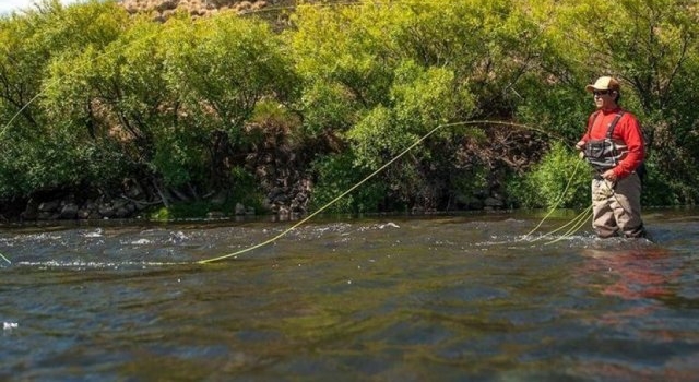 Temporada 2022-23: ¿Cómo sacar el permiso de pesca para Neuquén? 