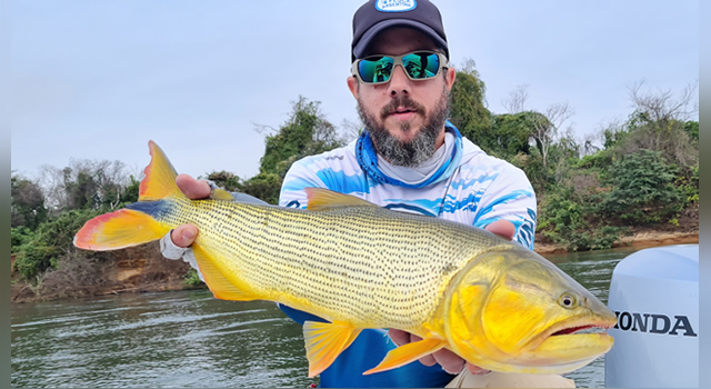 Dorado en Puerto Paraíso Itá Ibaté - Pesca Argentina