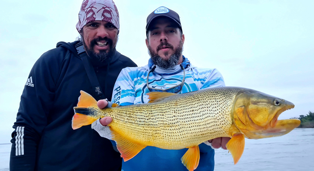 Dorado en Puerto Paraíso Itá Ibaté - Ezequiel Fusero
