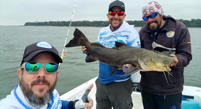 Manguruyú en Puerto Paraíso Itá Ibaté - Pesca Argentina