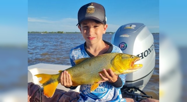 Dorado de Mateo Revilla