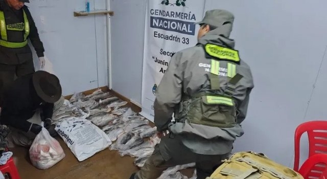 Pesca furtiva: secuestran 80 kilos de truchas arco iris