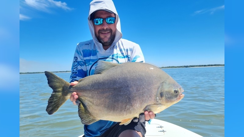Sergio Revilla, pesca de pacu en Itá Ibaté, Corrientes.