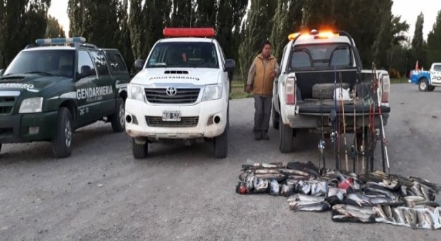 Picún Leufú: secuestraron 150 truchas por pesca ilegal