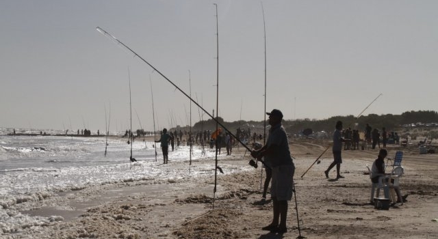 Un verano cargo de pesca