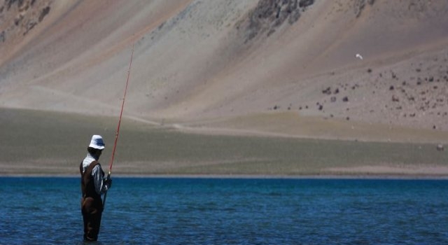 Quedó vedada la pesca por el hallazgo de una alga tóxica
