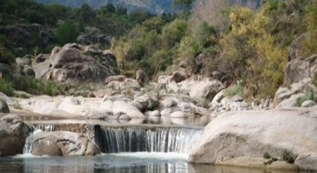 Aseguran que el alga invasora en Valle de Uco no es tóxica