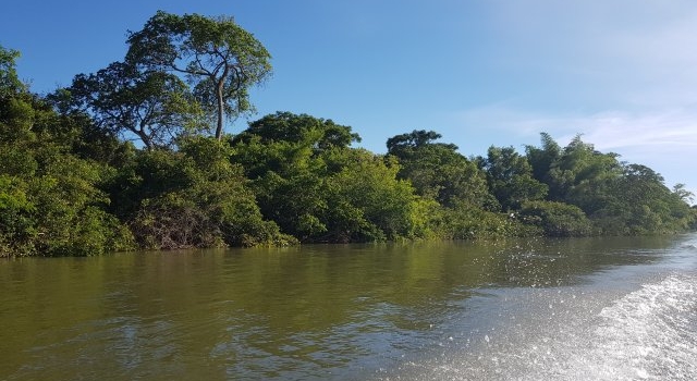 Se realizaron controles de caza y pesca en la costa del Uruguay