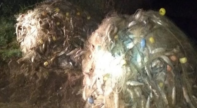 Secuestraron 800 metros de red con 300 kilos de pejerrey en dos lagunas de Trenque Lauquen