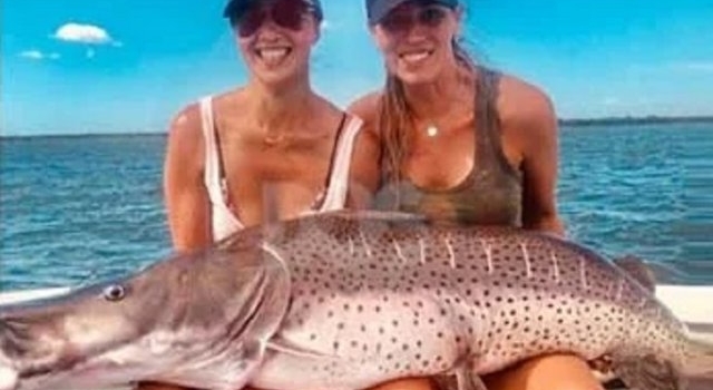 Dos correntinas pescaron un surubí de 50 kg y lo devolvieron al río