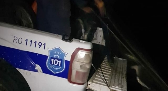 Secuestran 300 kilos de pejerrey en operativo contra la pesca furtiva