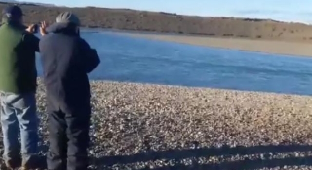 Fueron a pasar un día de pesca en el Río Santa Cruz y se llevaron una sorpresa