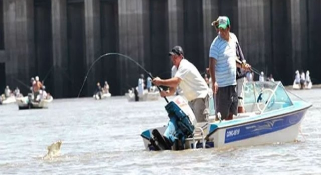 EL 25 DE AGOSTO SE VIENE LA PESCA DEL AMARILLO