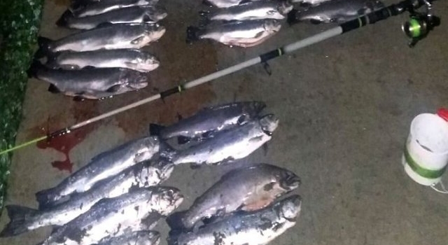 Secuestraron elementos usados para la pesca furtiva en el río Negro