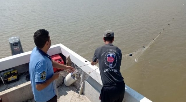 Mil pejerreyes y 16 redes secuestradas en el Cabra Corral