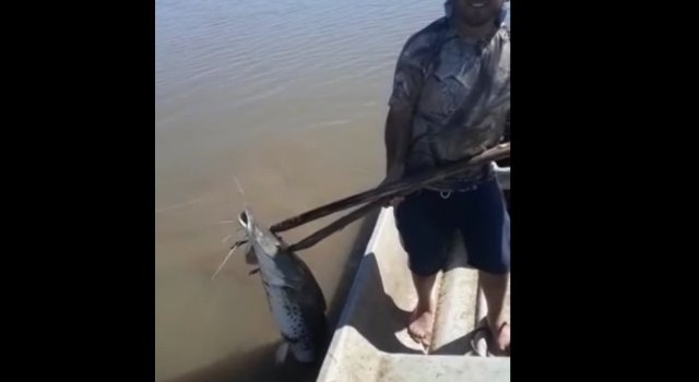 Brutales y salvajes: violan la cuarentena para pescar de manera indiscriminada