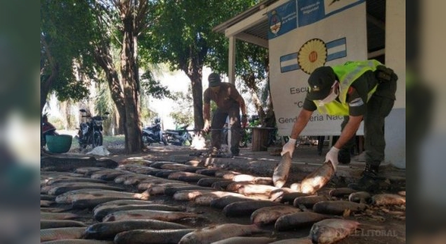 Decomisaron más de 90 pescados en Paso de la Patria y San Cosme