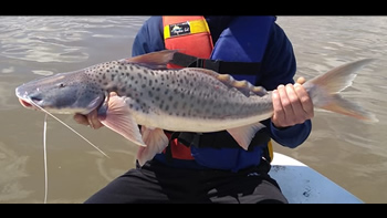 Pesca de Patí en Santiago del Estero