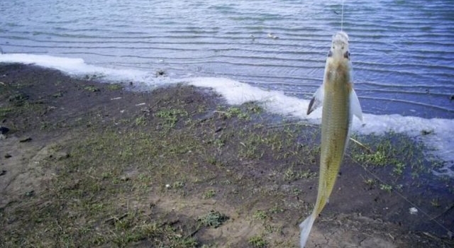 La Pampa: se vedó la pesca en la Laguna Don Tomás