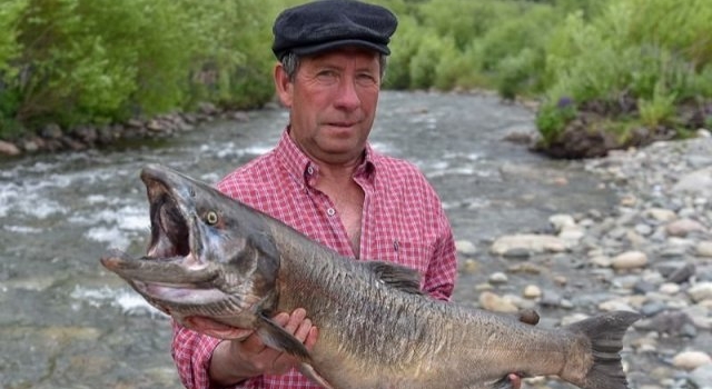 El 1° de noviembre arranca la Temporada de Pesca del Salmón del Pacífico