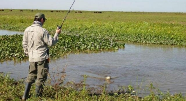 Limitan pesca de tararira en lagunas y ríos bonaerenses