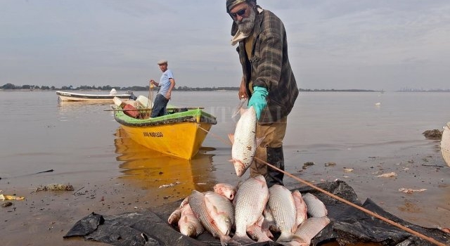Por la bajante, un juez prohibió la pesca en toda la provincia de Santa Fe