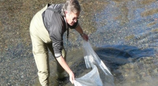 Sembrarán peces para recuperar la pesca el dique Los Cauquenes
