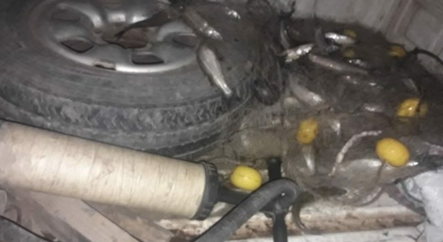 Se infraccionó a un hombre que arrojaba desperdicios de carpa y se secuestró una red con pejerreyes