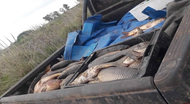 Operativos contra la pesca clandestina