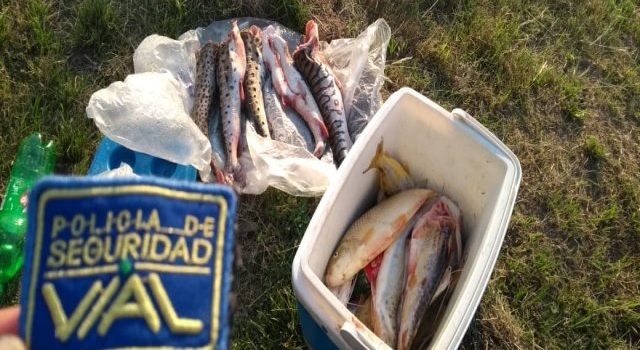 Infraccionados por surubíes, boga y bagres