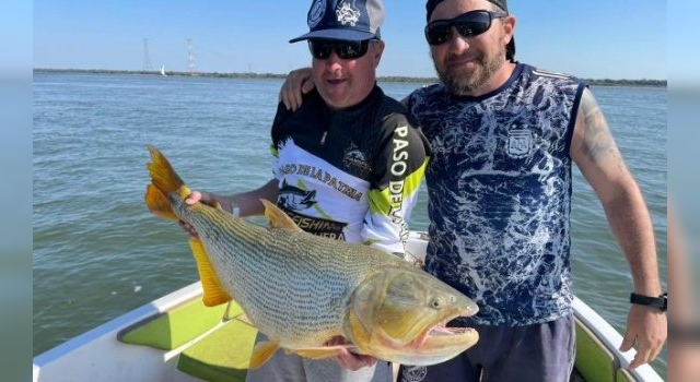 Anzuelos de pesca - Anatomía del Anzuelo - Pesca en Argentina - Todo sobre  Pesca Deportiva