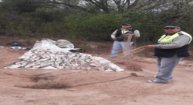 Detectaron una carga de pescados atrapados de manera ilegal en Leales